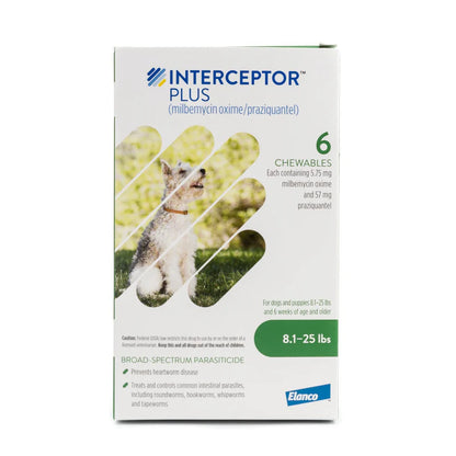 Intercepto Plus