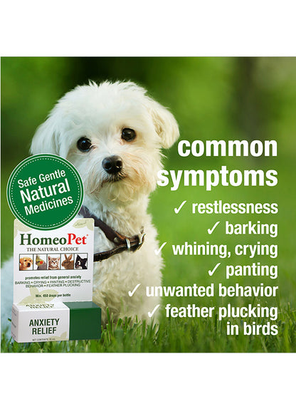 Anxiety Relief Homeo Pet