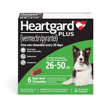 Heartgard